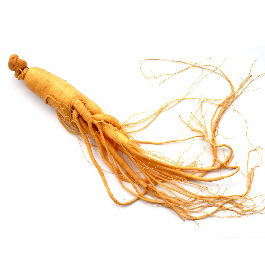 Fermented ginseng SPF