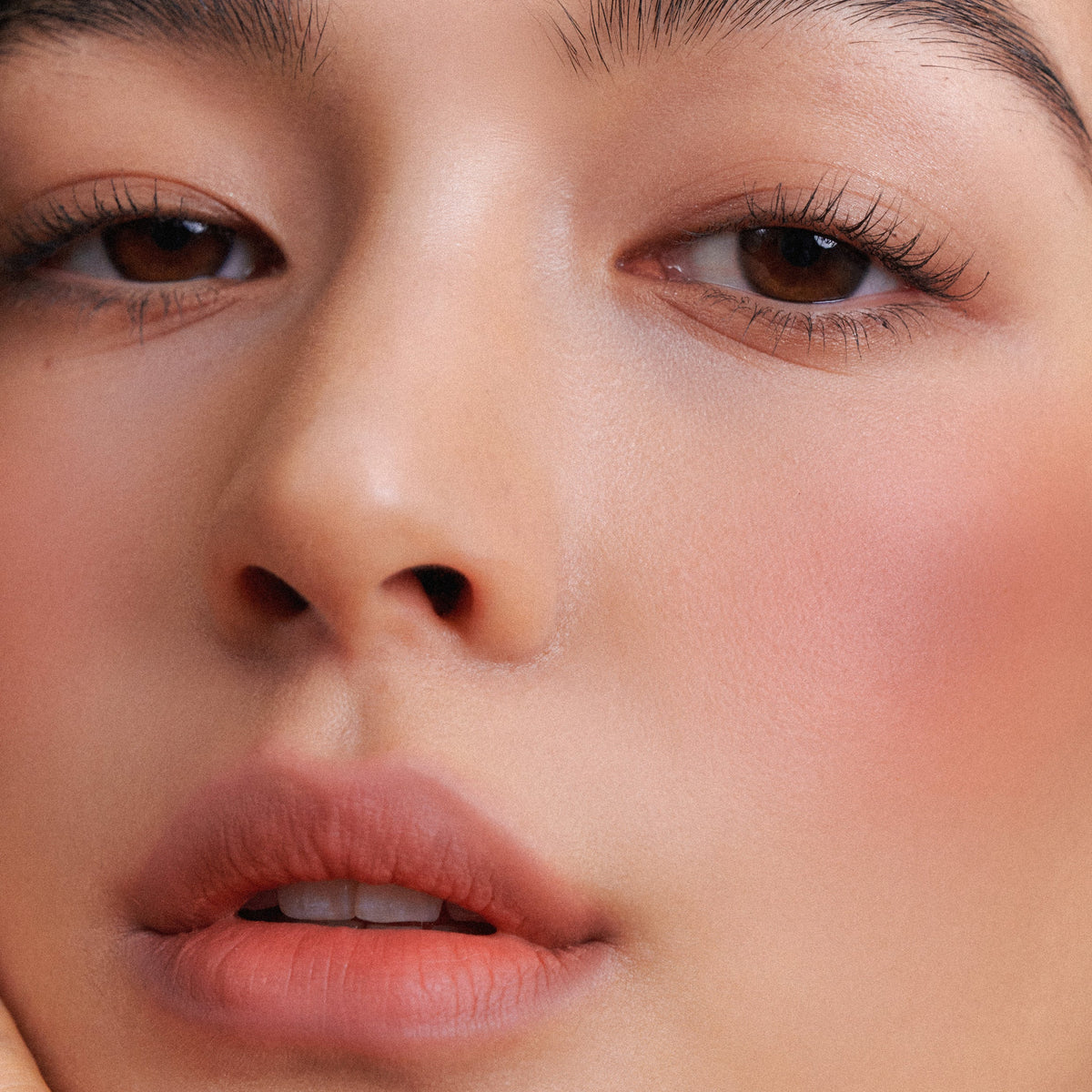 Nuegray Sway Cheek Blusher