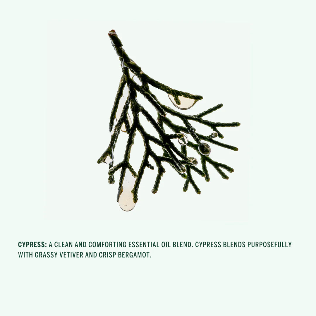 Cypress Conditioner