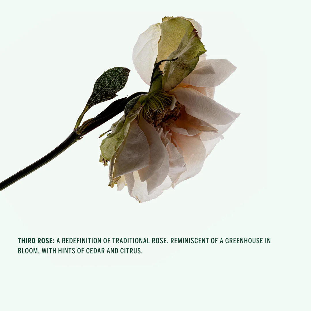 Natural Deodorant Stick Third Rose